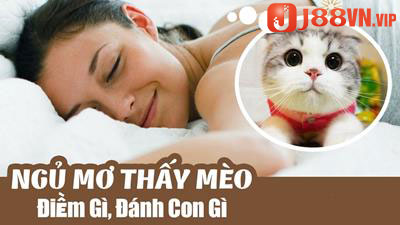 nằm mơ thấy mèo